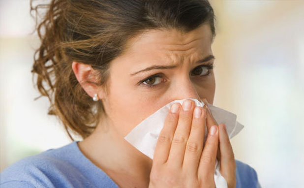 Hay Fever