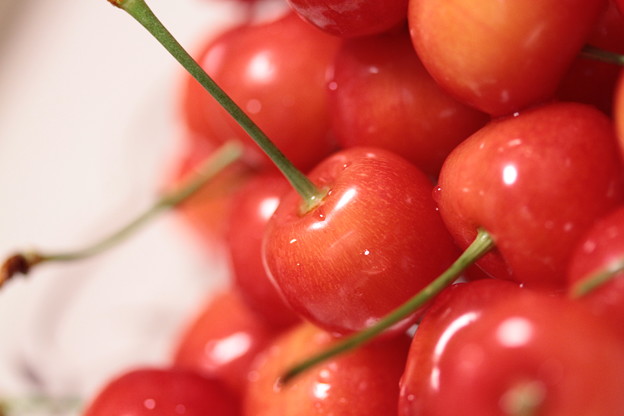 Fruit_Seasons_02