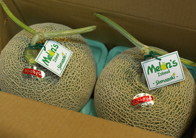 Fruit_Seasons_04