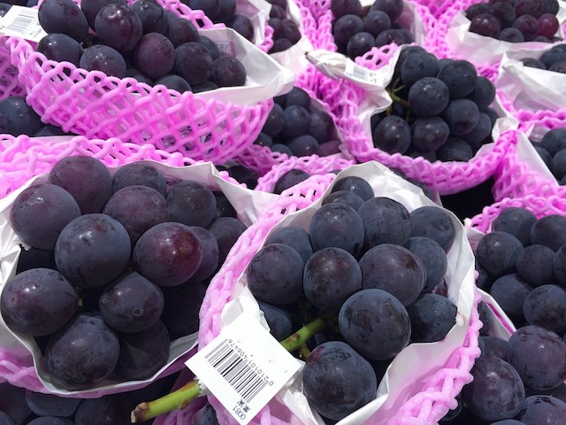 Fruit_Seasons_06