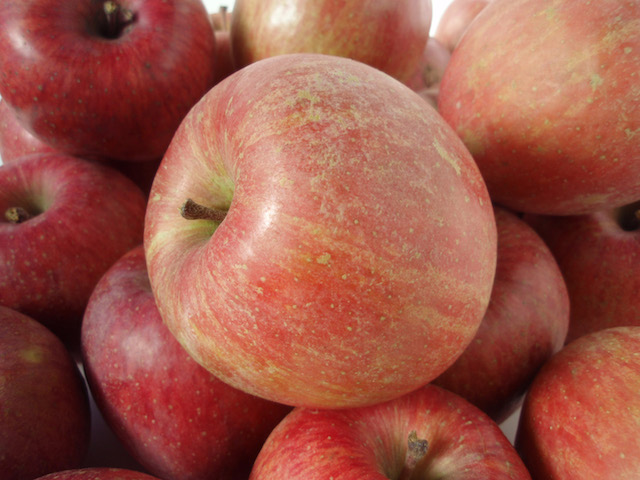 Fruit_Seasons_08