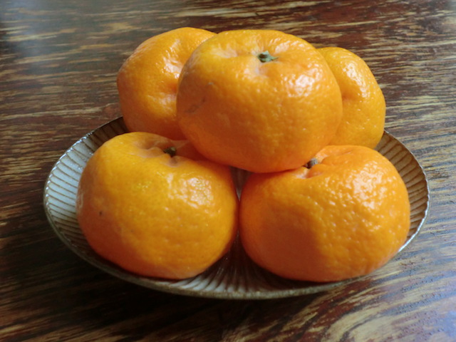 Fruit_Seasons_10