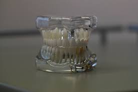 dentisry