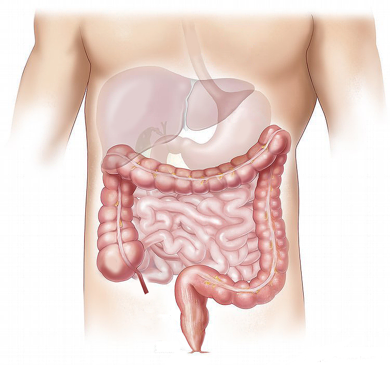 gastroent