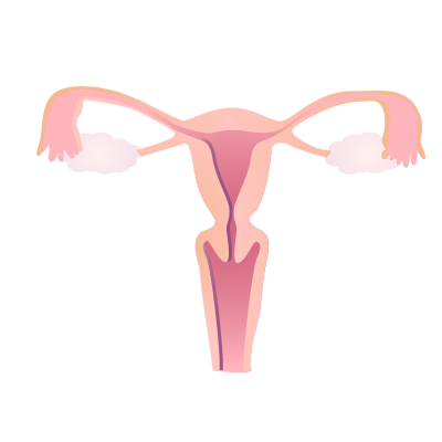 gynecology