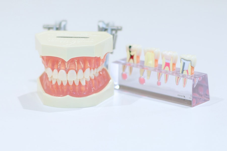 dentistry